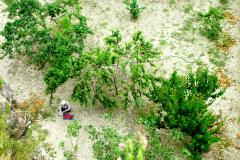 07-huerta