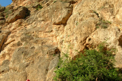 palsur-03