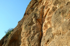 palsur-04