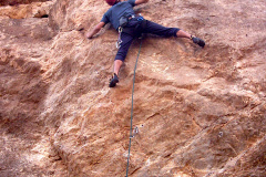 salto-gallo-2004-01