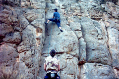 salto-gallo-2004-03