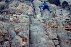 salto-gallo-2004-04