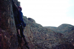 salto-gallo-2004-07