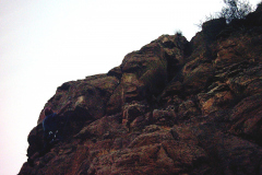 salto-gallo-2004-08