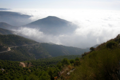 escapada-furtiva-03