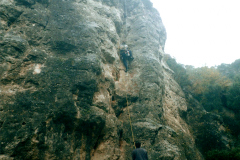 08