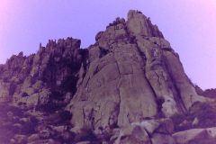 Pajarito