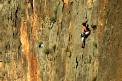 2009-mota-10