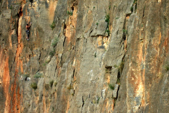 2009-mota-13