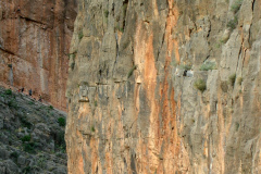 2009-mota-14
