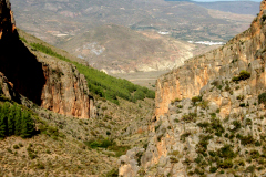cacin-tajos