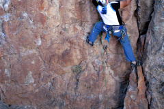 felix-sep-2025-05