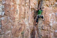 felix-sep-2025-11