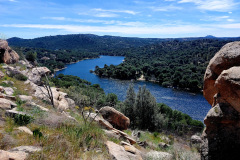 cebreros_abril_2026-10