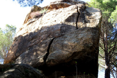 cebreros_abril_2026-21