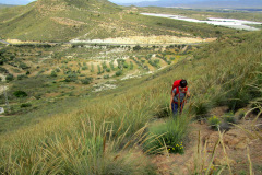 lucainena_2026_05