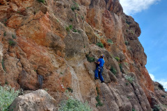 lucainena_2026_07