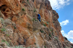 lucainena_2026_08