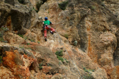 lucainena_2026_19