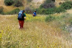 lucainena_2026_23