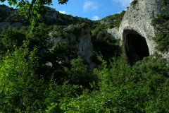 egino-2009-02