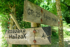 egino-2009-04