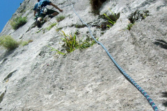 egino-2009-06