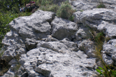 rebecos-18