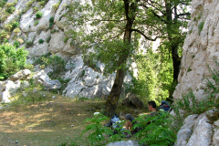 rebecos-26