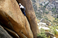 Bulnes
