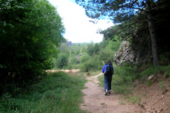 2010-nacho-01