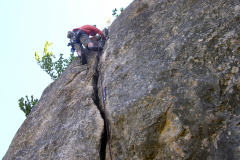 2010-nacho-09