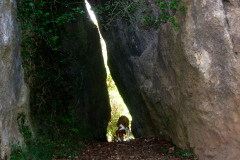 2010-nacho-17