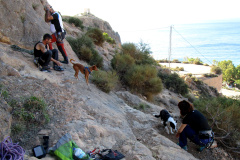 garrofa-vias-largas-01