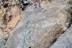 garrofa-vias-largas-03