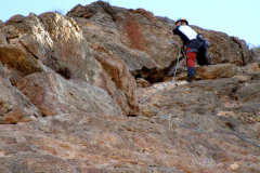 garrofa-vias-largas-11