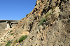 garrofa-vias-largas-15