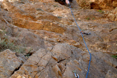 garrofa-vias-largas-18