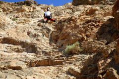 garrofa-vias-largas-24