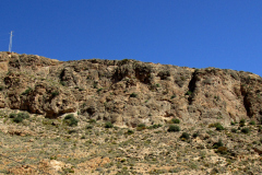 garrofa-vias-largas-26