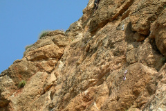 palsur-17