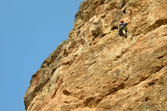 palsur-23