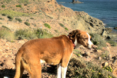 vuelta-por-almeria-1-30