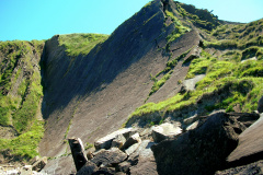 Joxemite