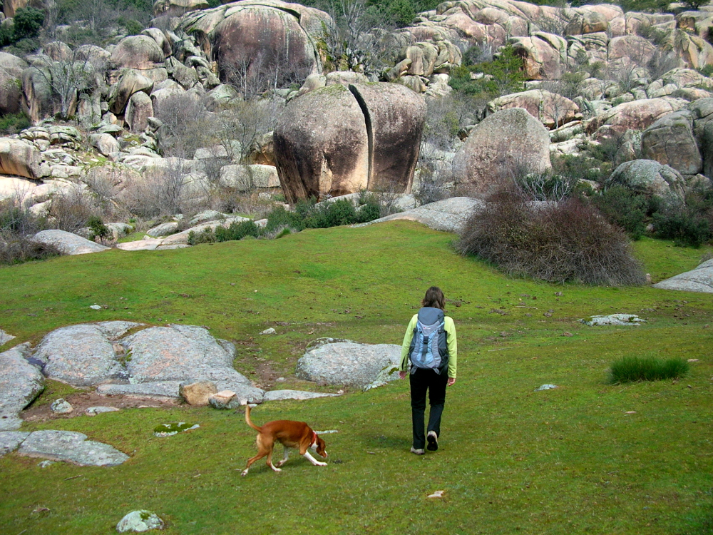 2007 · La Pedriza, rastreando la zona de la Charca Verde