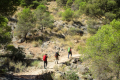 Moralillo