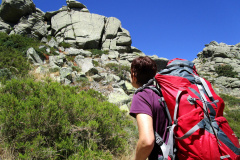 alto_telegrafo_2025_12