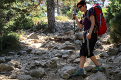 alto_telegrafo_2025_22