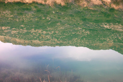 19_guadiela
