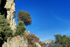 pantano-ermita-2024-18